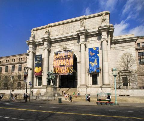 Museum of Natural History